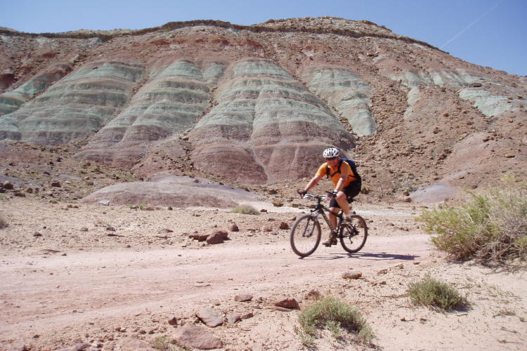 Copy of P4110020.jpg